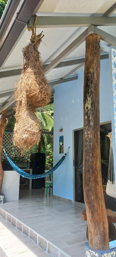 فيلا Casa Katharina كويتا المظهر الخارجي الصورة
