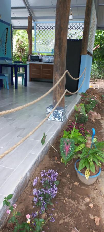 فيلا Casa Katharina كويتا المظهر الخارجي الصورة