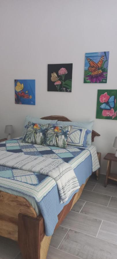 فيلا Casa Katharina كويتا المظهر الخارجي الصورة